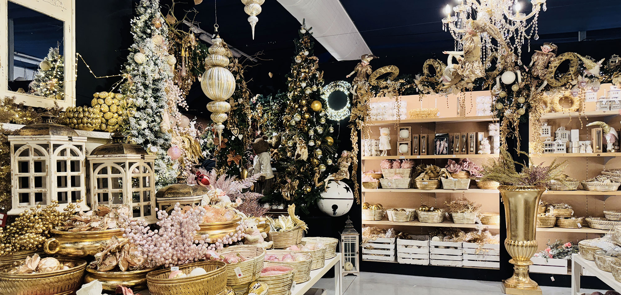 orari-natale-pellegrini