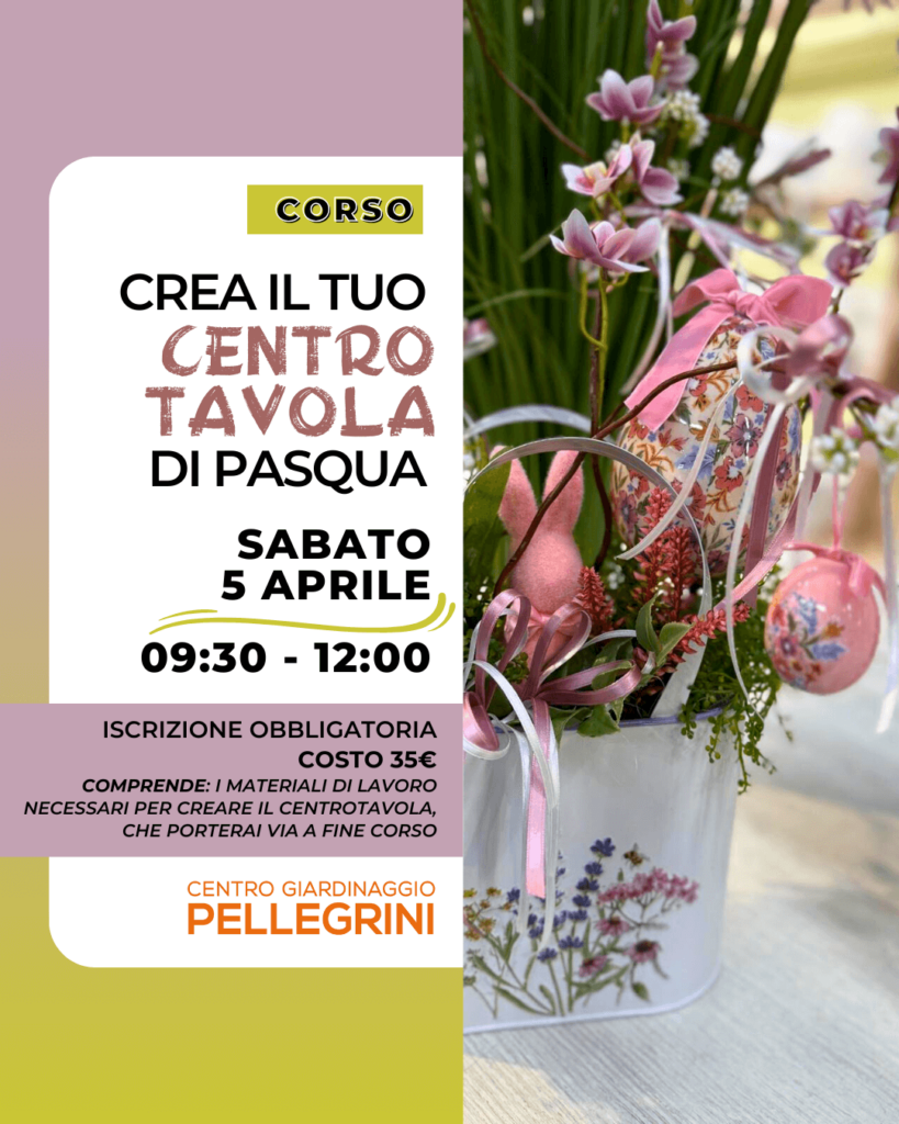 corso-centrotavola-pasqua-pellegrini