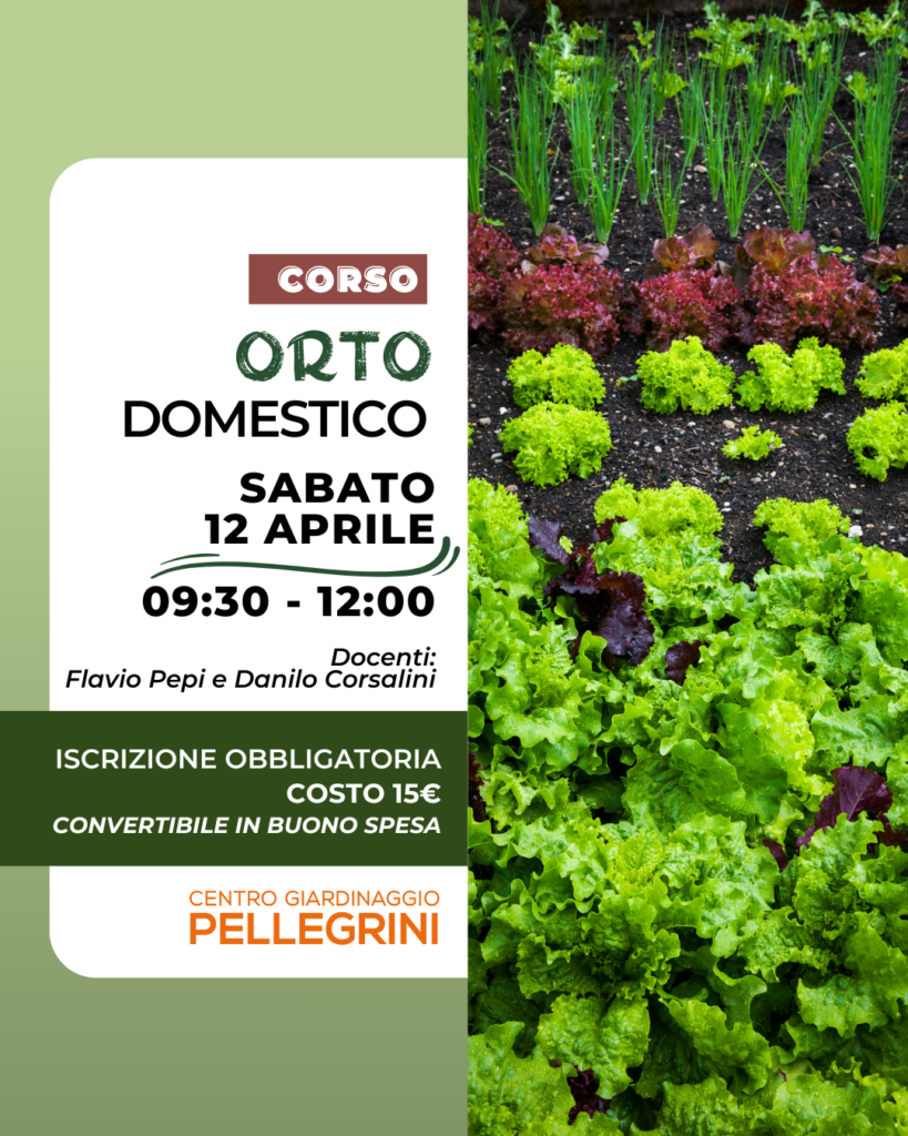 corso-orto-domestico-pellegrini