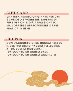 corso-bonsai-avanzato_3
