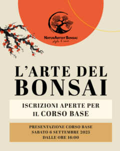 corso-bonsai-base_1