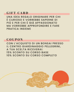 corso-bonsai-base_3