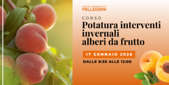 corso-potatura-invernale-alberi-da-frutto_pellegrini