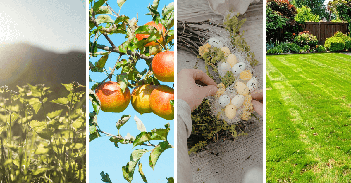 corsi-marzo-pellegrini