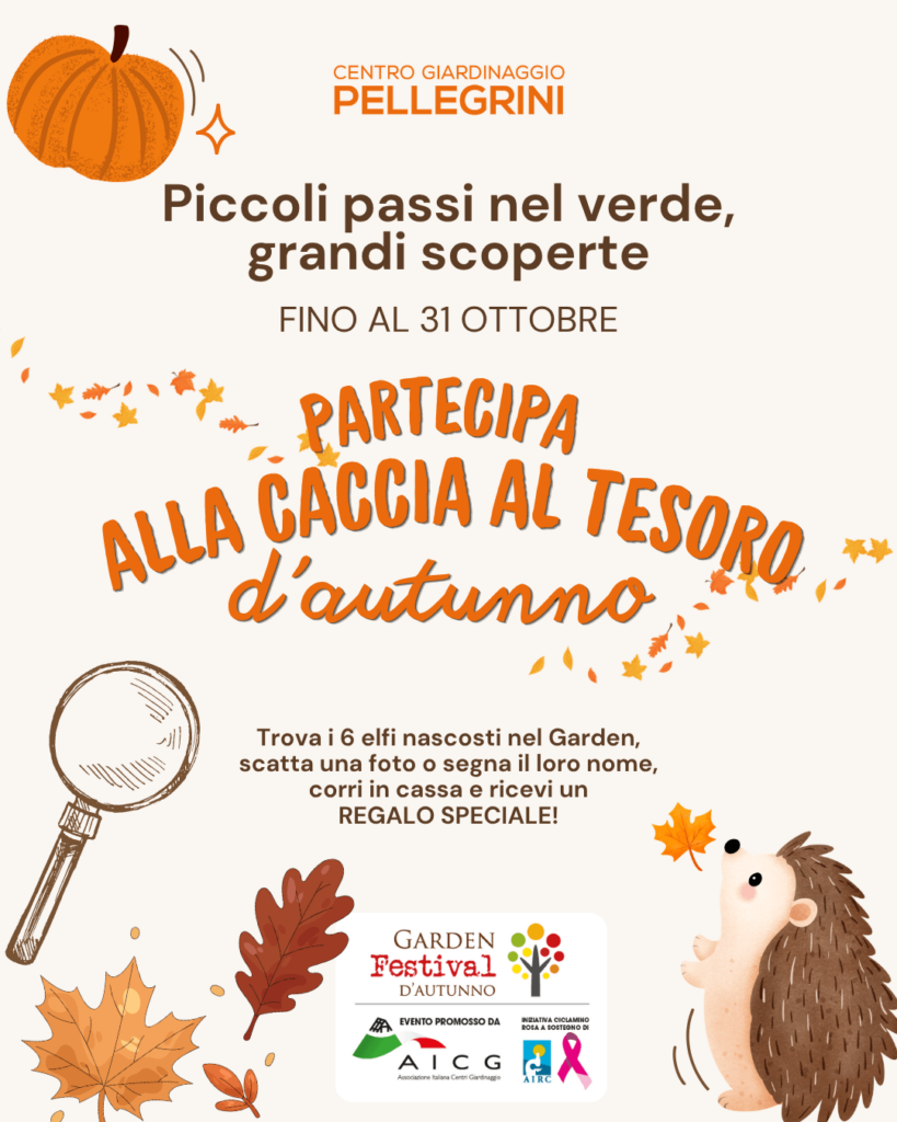 caccia-al-tesoro-garden-festival-autunno-pellegrini