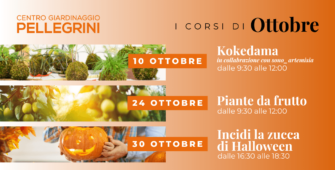corsi-ottobre-pellegrini
