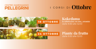 corsi-ottobre-pellegrini-kokedama-piante-da-frutto