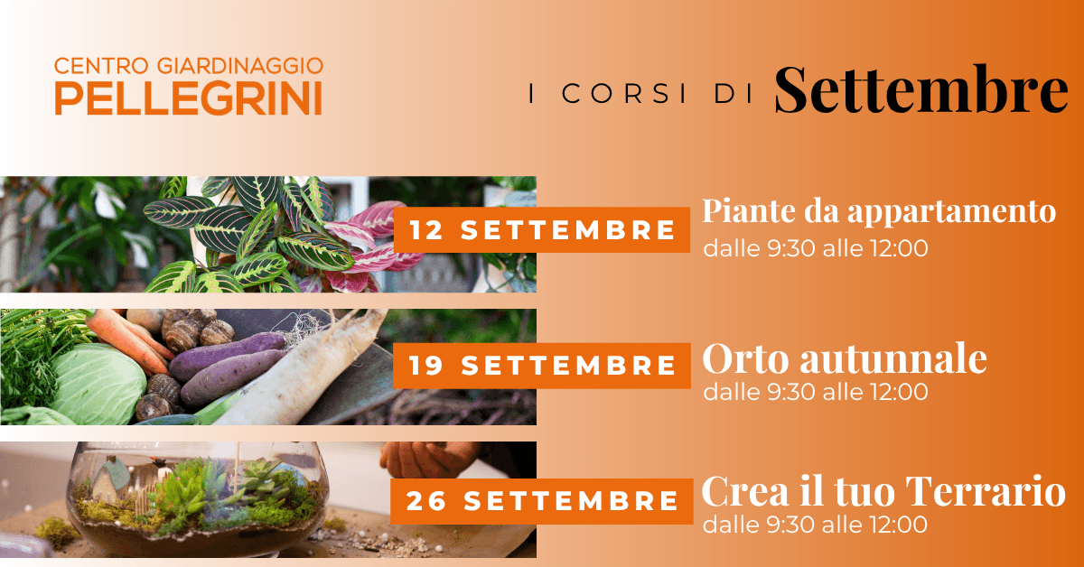 corsi-settembre-2026-centro-giardinaggio-pellegrini